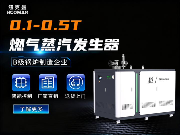 0.2T蒸汽模塊爐