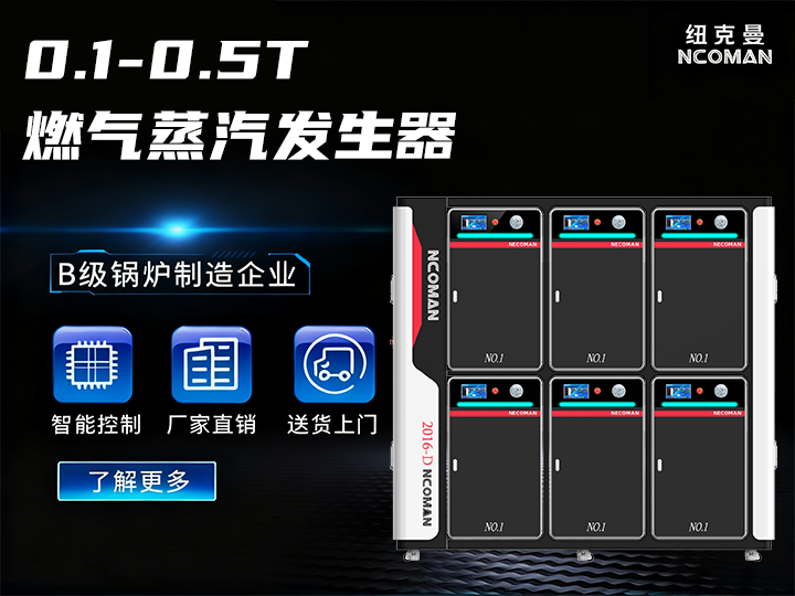 0.3T蒸汽模塊爐